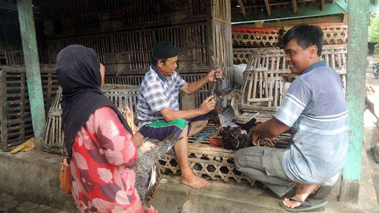 Ayam Kampung Menjadi Komoditas Utama Pasar Unggas Wonosari Kh