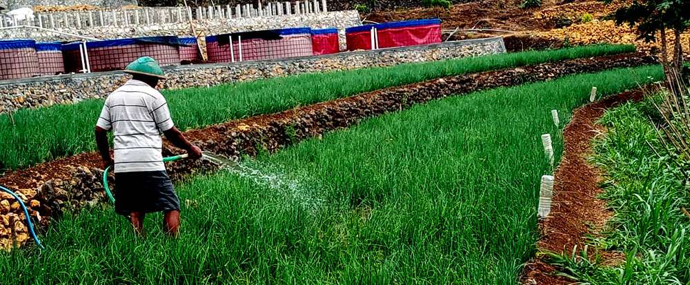 Pemanfaatan Sumber Air Bawah Tanah untuk Pertanian Bawang ...